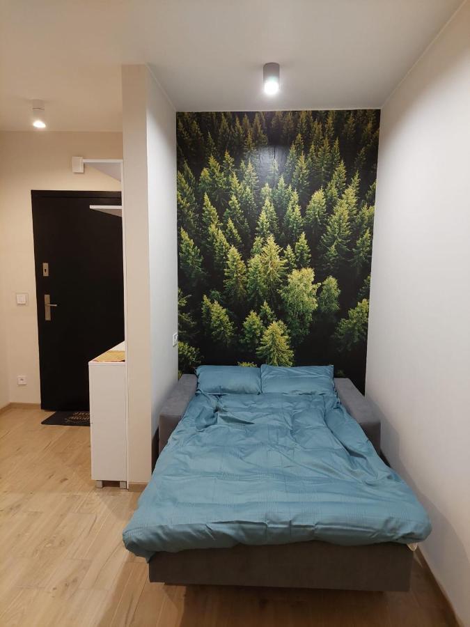 ביילסקו-ביאלה Apartament Pod Gora Szyndzielnia , Debowiec מראה חיצוני תמונה
