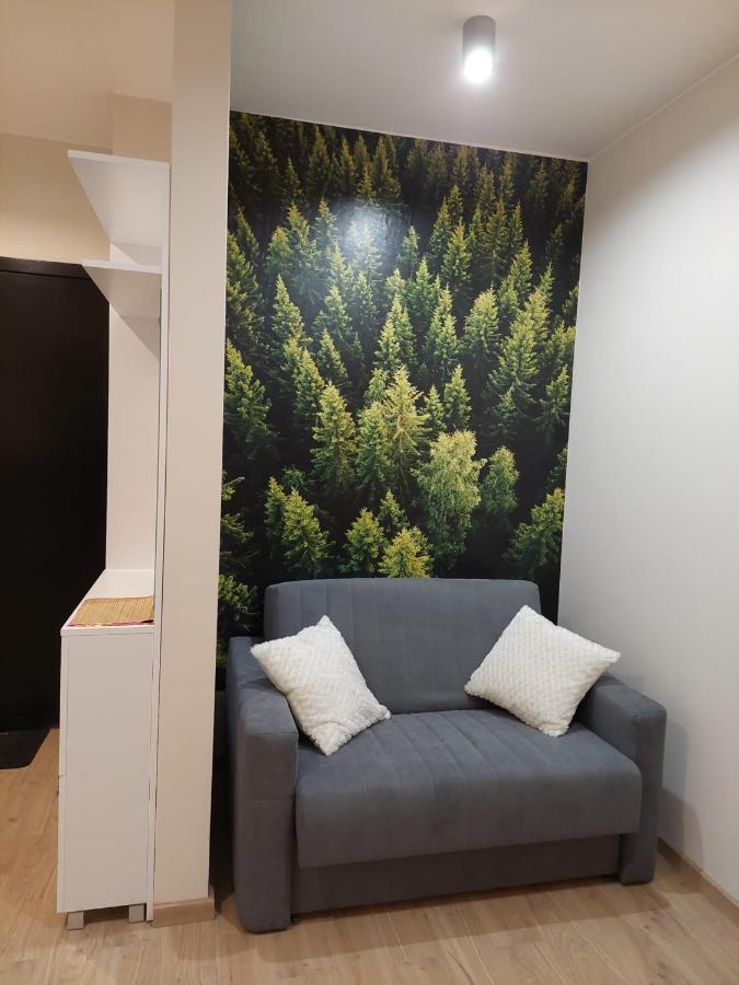 ביילסקו-ביאלה Apartament Pod Gora Szyndzielnia , Debowiec מראה חיצוני תמונה
