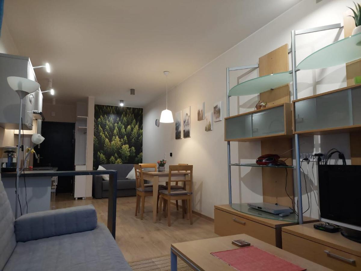 ביילסקו-ביאלה Apartament Pod Gora Szyndzielnia , Debowiec מראה חיצוני תמונה